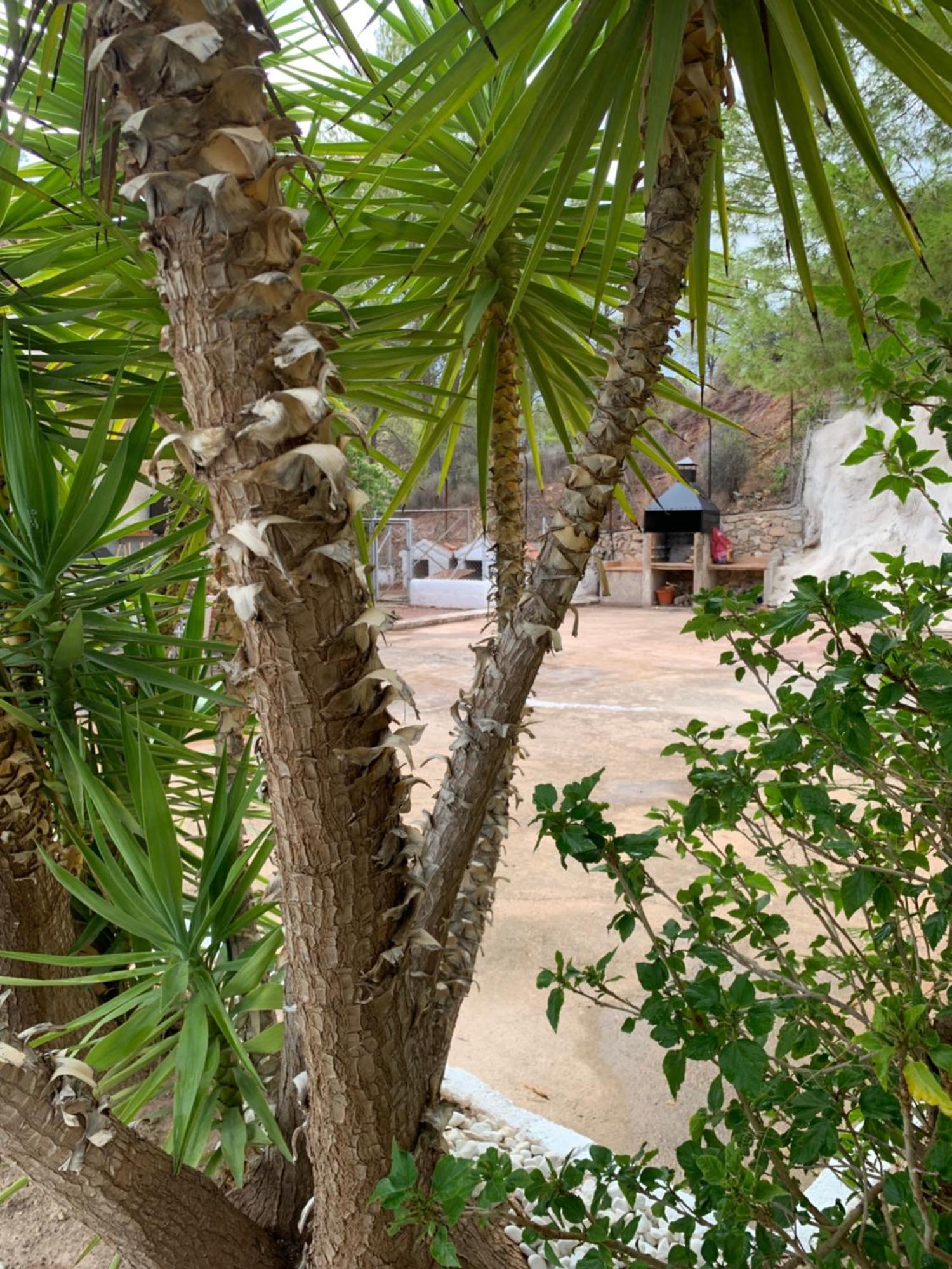 木尔西亚La Casa De La Fuensanta别墅 外观 照片
